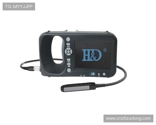 凯时尊龙app：最新版本下载与安装详细步骤解析