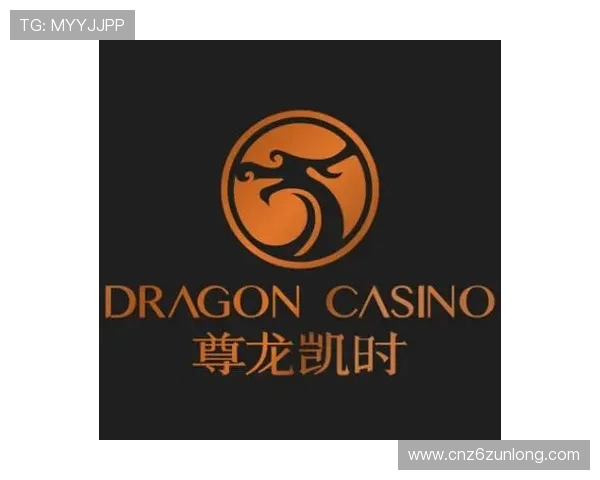 尊龙凯时中国网站支付方式多样化满足不同用户的便捷充值需求