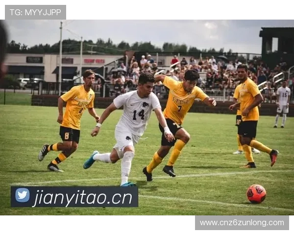 尊龙凯时真人国际平台安全可靠,提供多样化真人娱乐体验,满足不同玩家的需求 尊龙凯时真人国际平台安全可靠,提供多样化真人娱乐体验,满足不同玩家的需求