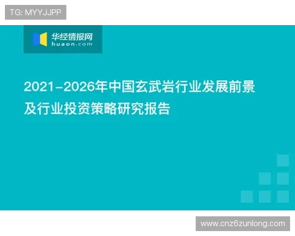尊龙凯时公司背景：尊龙凯时在行业中的市场布局与战略规划分析